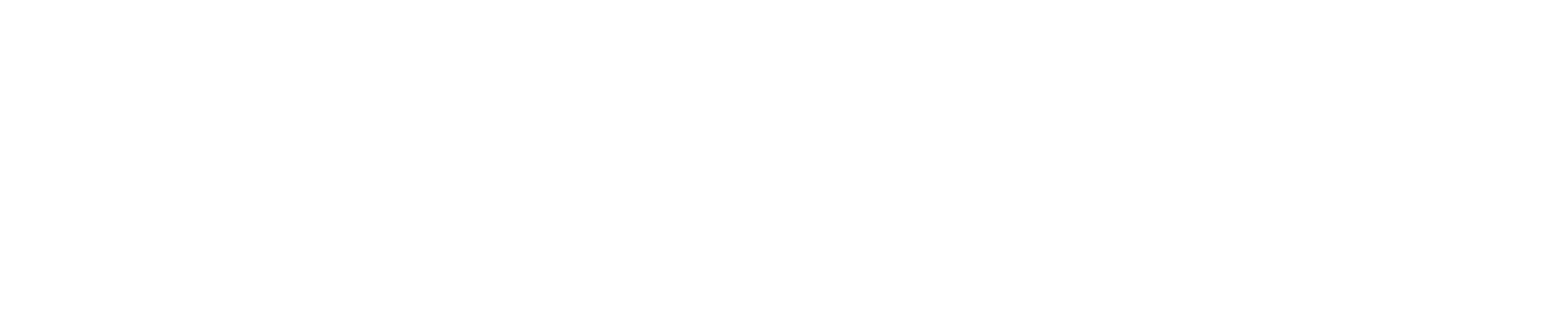 MonteVIDEO Tech